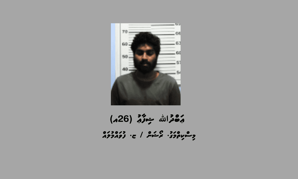 ގިނަ އަދަދެއްގެ މަސްތުވާތަކެއްޗާއެކު ފުވައްމުލައް ސިޓީން ދެ މީހަކު ހައްޔަރުކޮށްފި