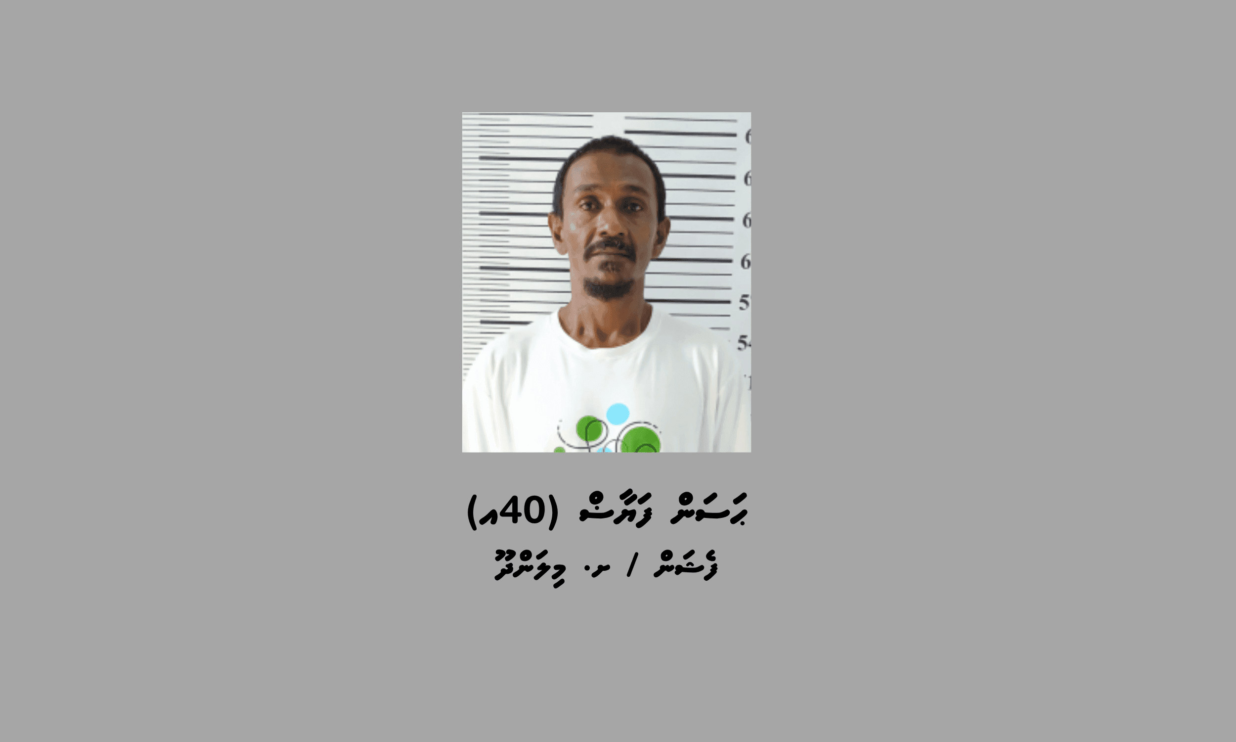 މިލަންދޫއަށް މަސްތުވާތަކެތި އެތެރެކުރިކަމުގެ ތުހުމަތުގައި މީހަކު ހައްޔަރުކޮށްފި