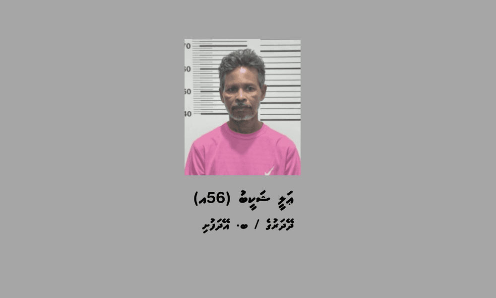 މަސްތުވާތަކެތީގެ ވިޔަފާރިކުރާކަމުގެ ތުހުމަތުގައި އޭދަފުށިން މީހަކު ހައްޔަރުކޮށްފި