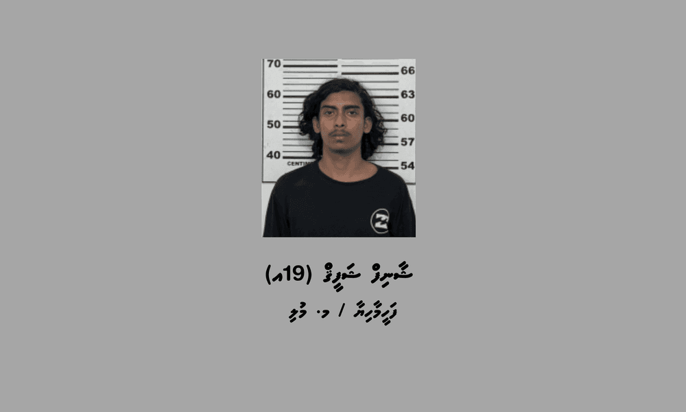ވޭވަށަށް މަސްތުވާތަކެތި އެތެރެކުރަން އުޅުނުކަމުގެ ތުހުމަތުގައި މީހަކު ހައްޔަރުކޮށްފި
