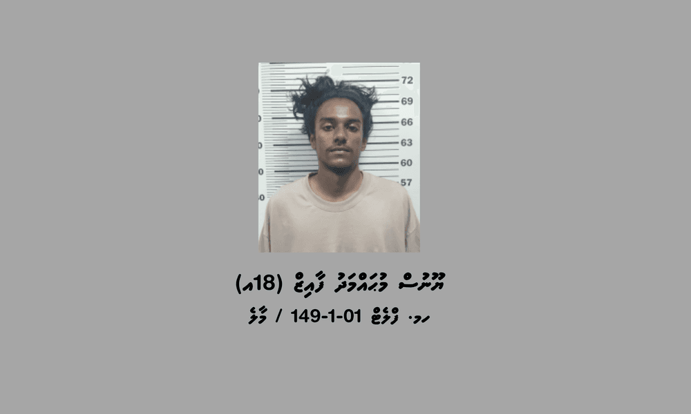 މަސްތުވާތަކެތި ވިއްކައި ވިޔަފާރިކުރާކަމުގެ ތުހުމަތުގައި ހުޅުމާލެއިން މީހަކު ހައްޔަރުކޮށްފި