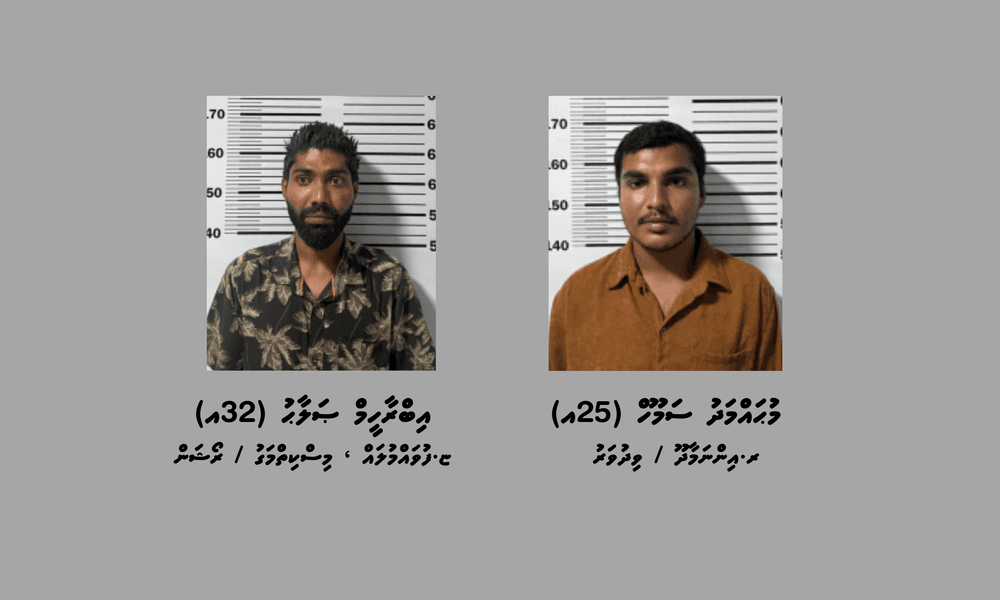 މަސްތުވާތަކެއްޗާއެކު ދުވާފަރުން ދެ މީހަކު ހައްޔަރުކޮށްފި