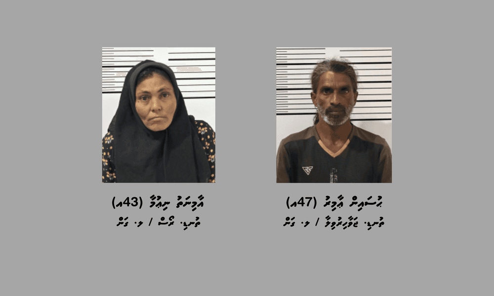 މަސްތުވާތަކެތީގެ މައްސަލައެއްގައި ލ.ގަމުން ދެމީހަކު ހައްޔަރުކޮށްފި