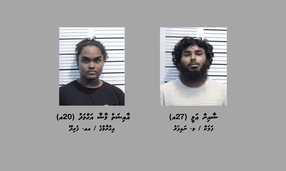 ތިން ކިލޯއަށްވުރެ ގިނަ މަސްތުވާތަކެއްޗާއެކު ދެ މީހަކު ހައްޔަރުކޮށްފި
