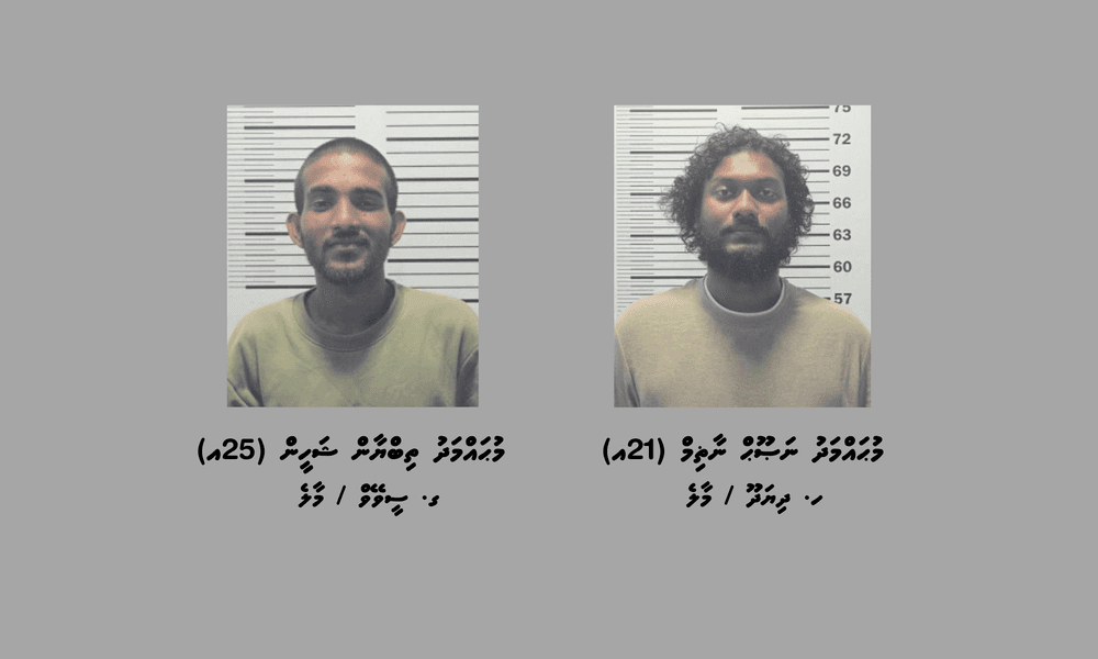 މަސްތުވާތަކެތީގެ މައްސަލައެއްގައި ނ. މަގޫދޫއިން ދެމީހަކު ހައްޔަރުކޮށްފި