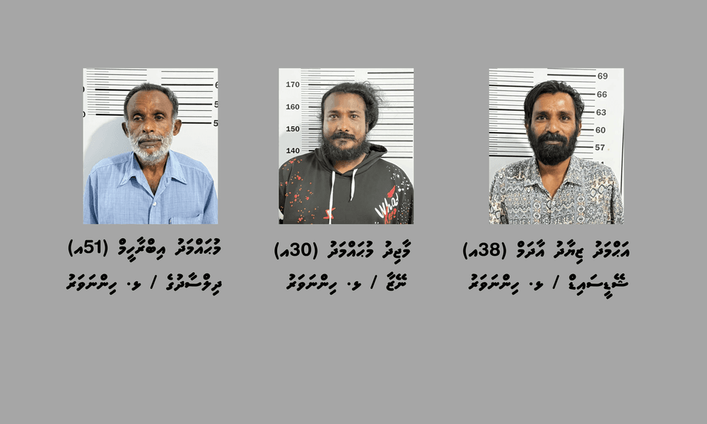 ހިންނަވަރުގައި މަސްތުވާތަކެތީގެ ވިޔަފާރިކުރާ ކަމުގެ ތުހުމަތުގައި ތިންމީހުން ހައްޔަރުކޮށްފި