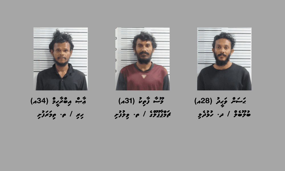 މަސްތުވާތަކެތީގެ މައްސަލައެއްގައި ވިލުފުށިން ތިން މީހުން ހައްޔަރުކޮށްފި