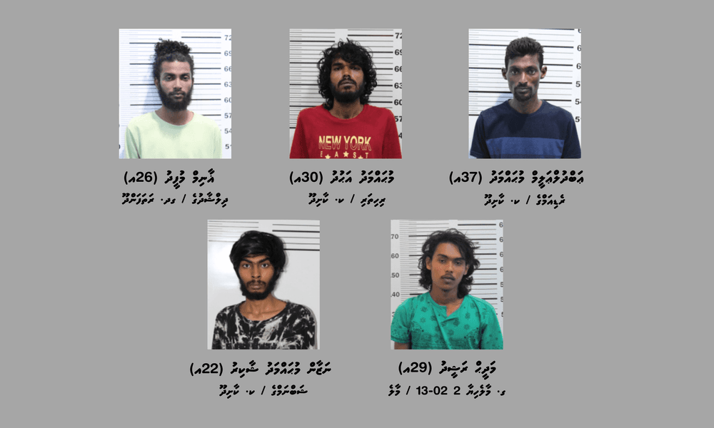 މަސްތުވާތަކެތީގެ ވިޔަފާރިކުރާކަމުގެ ތުހުމަތުގައި ކާށިދޫއިން ބަޔަކު ހައްޔަރުކޮށްފި
