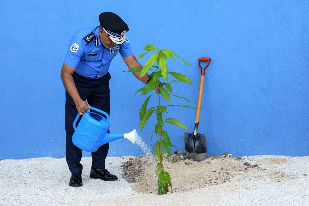 ހދ. ފިނޭ ޕޮލިސް ސްޓޭޝަންގައި ގަސް އިންދުމުގެ ހަރަކާތެއް ކުރިއަށް ގެންގޮސްފި