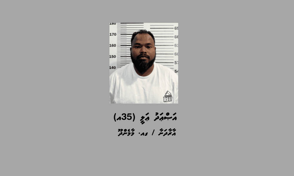 މަސްތުވާތަކެތީގެ މައްސަލައެއްގައި ގއ. ވިލިނގިލިން މީހަކު ހައްޔަރުކޮށްފި