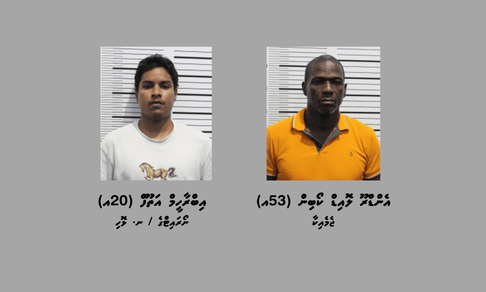 ކިލޯއަކަށްވުރެ ގިނަ މަސްތުވާތަކެތި ރާއްޖެ އެތެރެކުރިކަމުގެ ތުހުމަތުގައި ބަޔަކު ހައްޔަރުކޮށްފި