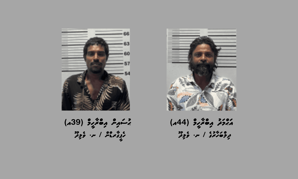 ޑައިމޯފިން ޓްރެފިކްކުރުމުގެ ކުށް ސާބިތުވެ ދެމީހަކު ޖަލަށްލުމަށް ހުކުމްކޮށްފި